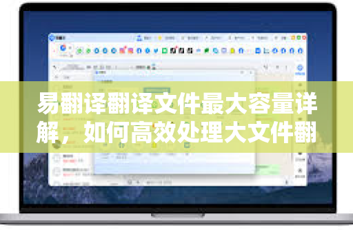 易翻译翻译文件最大容量详解，如何高效处理大文件翻译