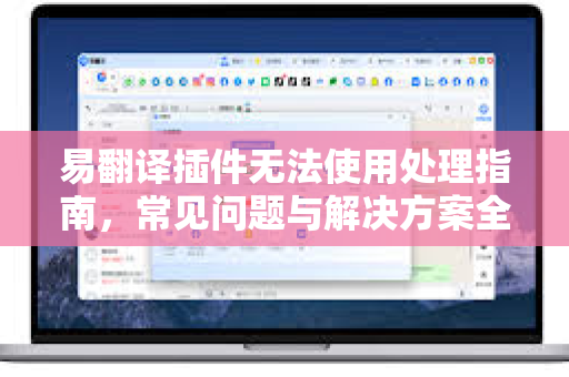 易翻译插件无法使用处理指南，常见问题与解决方案全解析