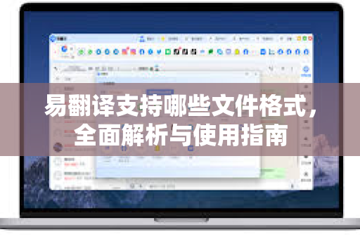 易翻译支持哪些文件格式，全面解析与使用指南