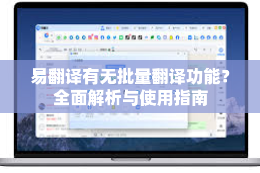 易翻译有无批量翻译功能？全面解析与使用指南