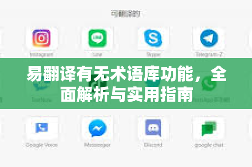 易翻译有无术语库功能，全面解析与实用指南