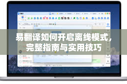 易翻译如何开启离线模式，完整指南与实用技巧