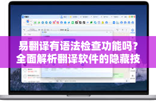 易翻译有语法检查功能吗？全面解析翻译软件的隐藏技能