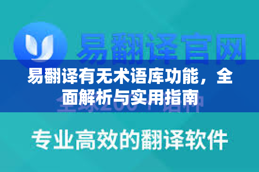易翻译有无术语库功能，全面解析与实用指南