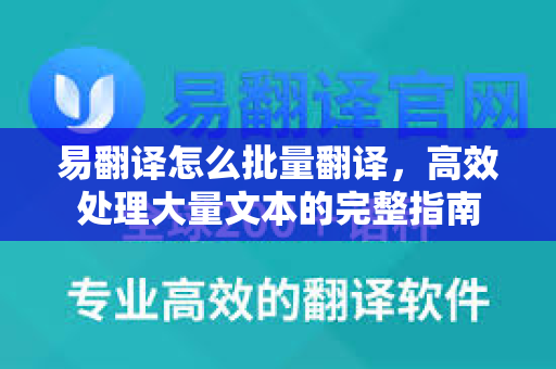 易翻译怎么批量翻译，高效处理大量文本的完整指南
