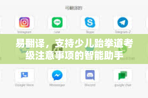 易翻译，支持少儿跆拳道考级注意事项的智能助手