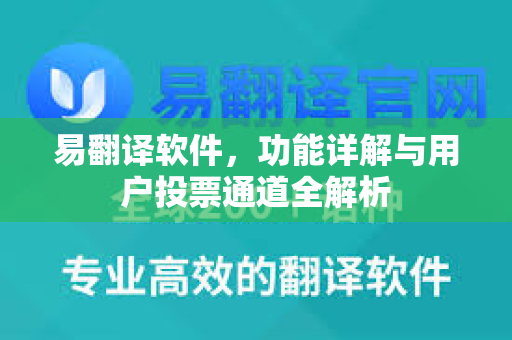 易翻译软件，功能详解与用户投票通道全解析