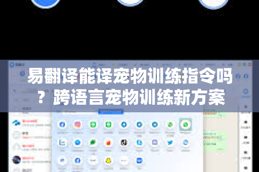 易翻译能译宠物训练指令吗？跨语言宠物训练新方案