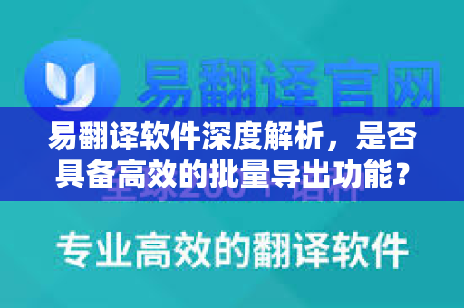 易翻译软件深度解析，是否具备高效的批量导出功能？
